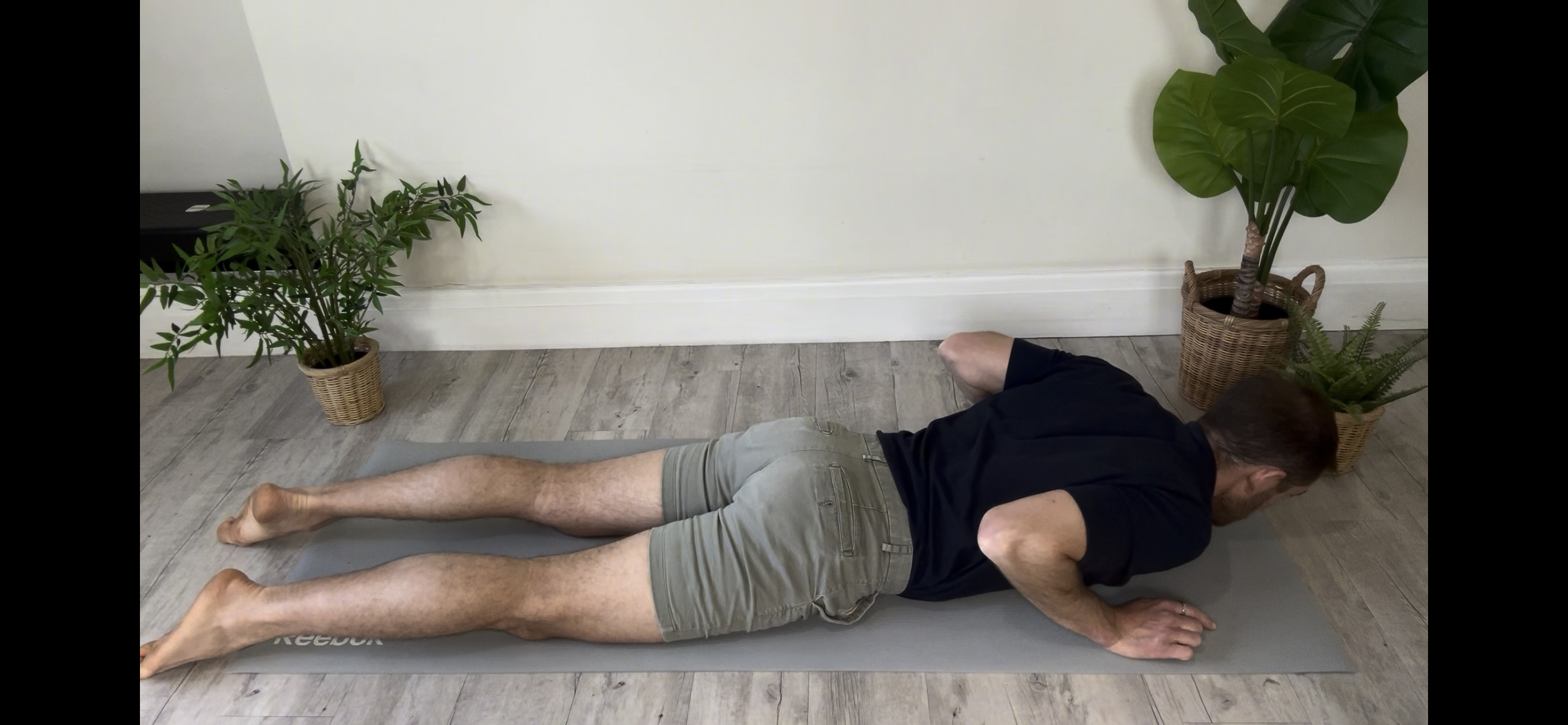Cobra Stretch (Prone Extension)